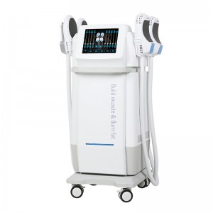 Competitive Price for 360 Cryolipolysis - Massage device+RF JDS-340 +RF – JDS